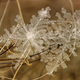 Image for article titled You'll Never Believe These Stunning Photos of Snow are Real